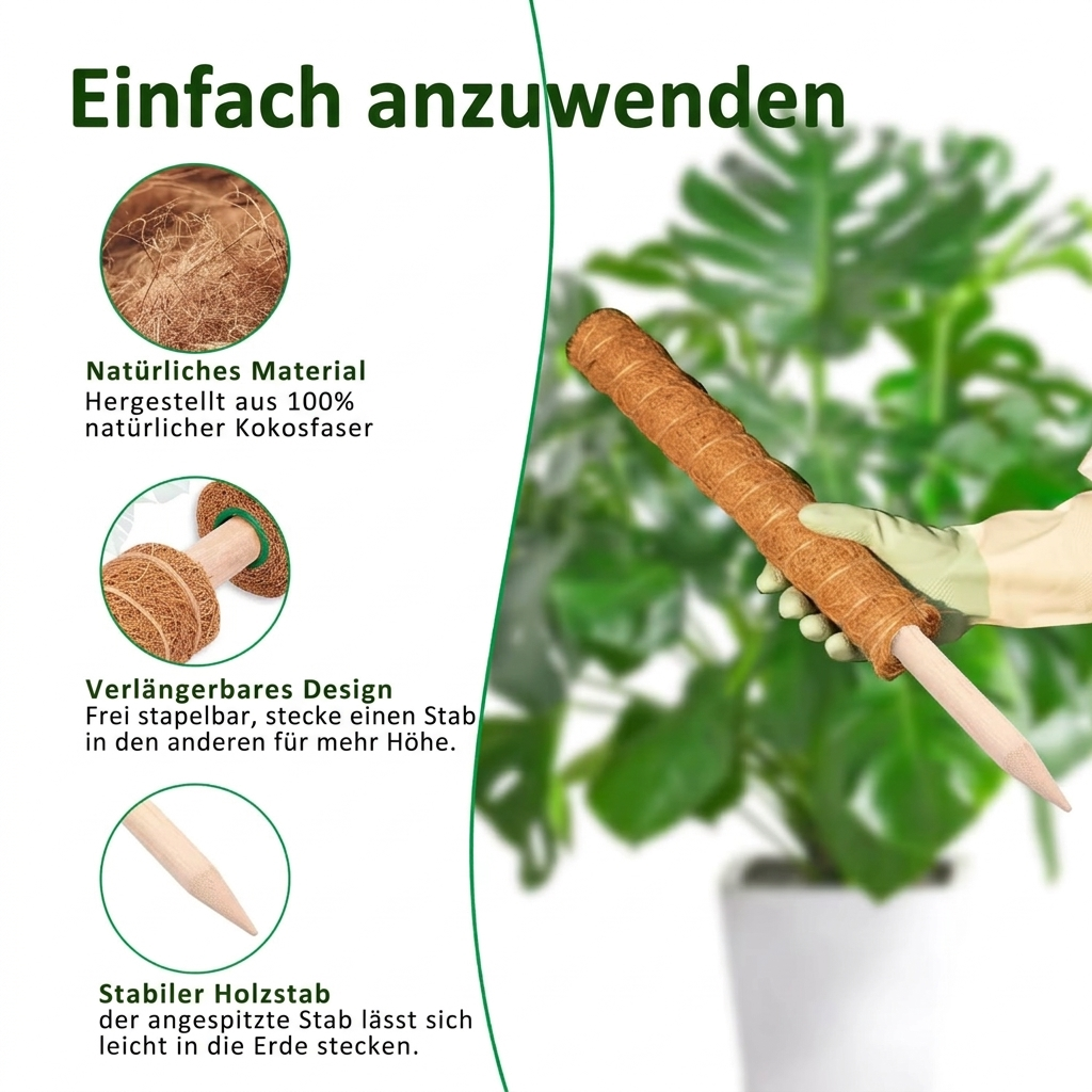 Kokosmoos Stab für Kletterpflanzen – Natürliche Rankhilfe für Zimmerpflanzen und Garten