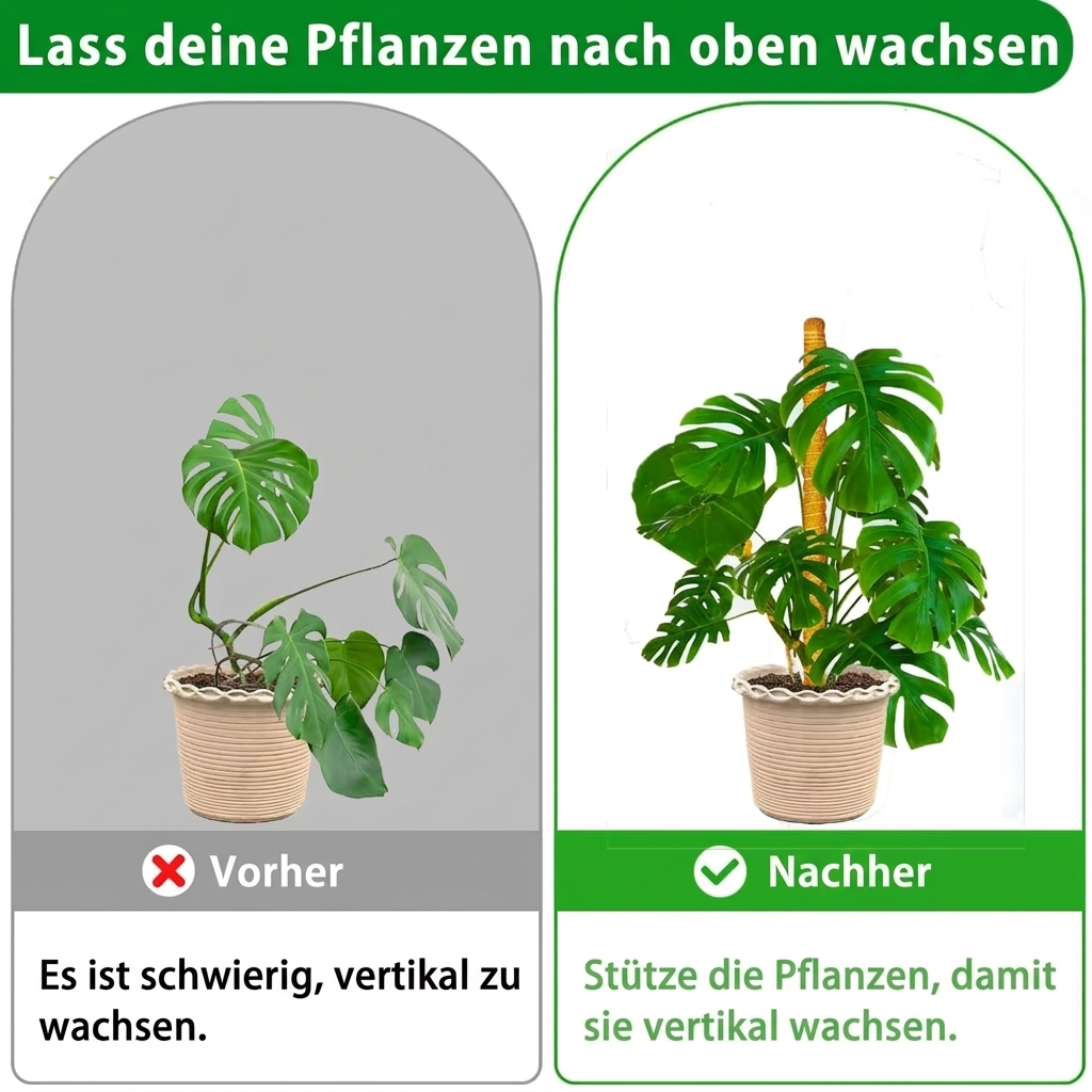 Kokosmoos Stab für Kletterpflanzen – Natürliche Rankhilfe für Zimmerpflanzen und Garten