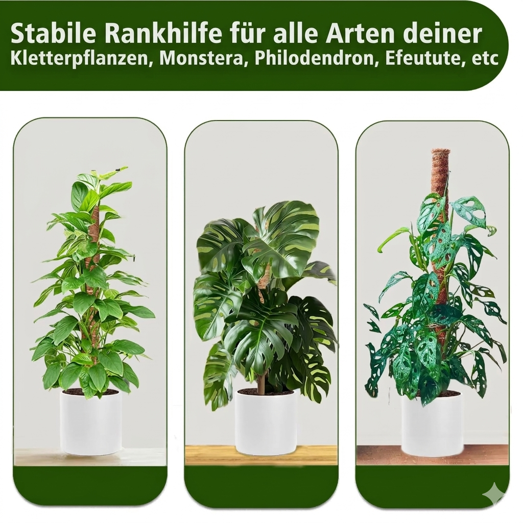 Kokosmoos Stab für Kletterpflanzen – Natürliche Rankhilfe für Zimmerpflanzen und Garten