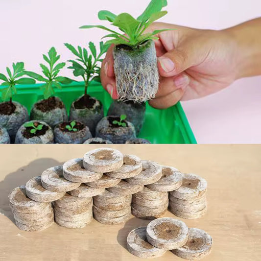 Kokosfaser-Torf-Anzuchtpellets – Starter für Samenpflanzung