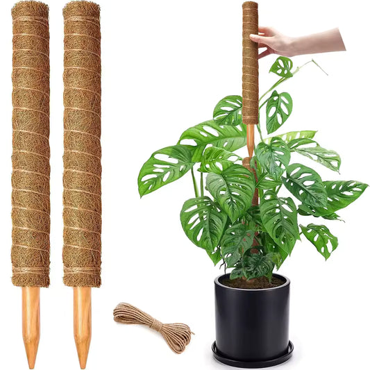 Kokosmoos Stab für Kletterpflanzen – Natürliche Rankhilfe für Zimmerpflanzen und Garten