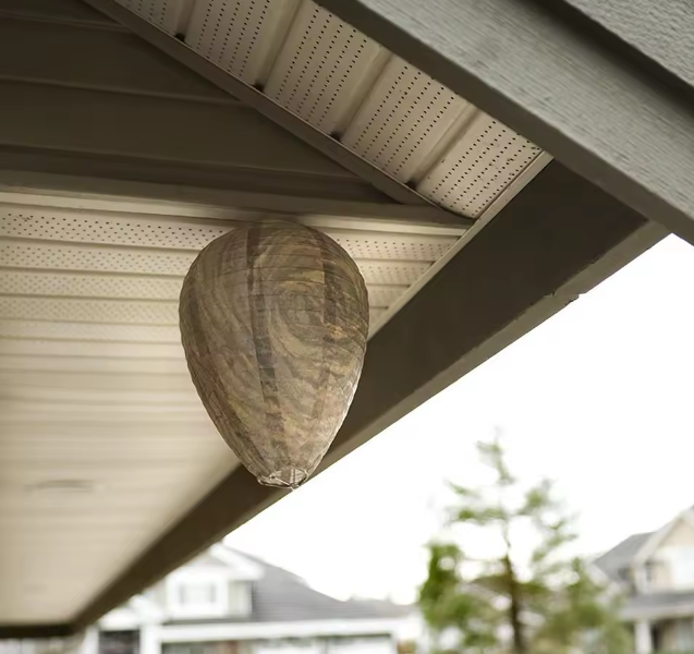 Wespennest Abwehr Lampe – Hängendes Schutznetz gegen Wespen und Insekten