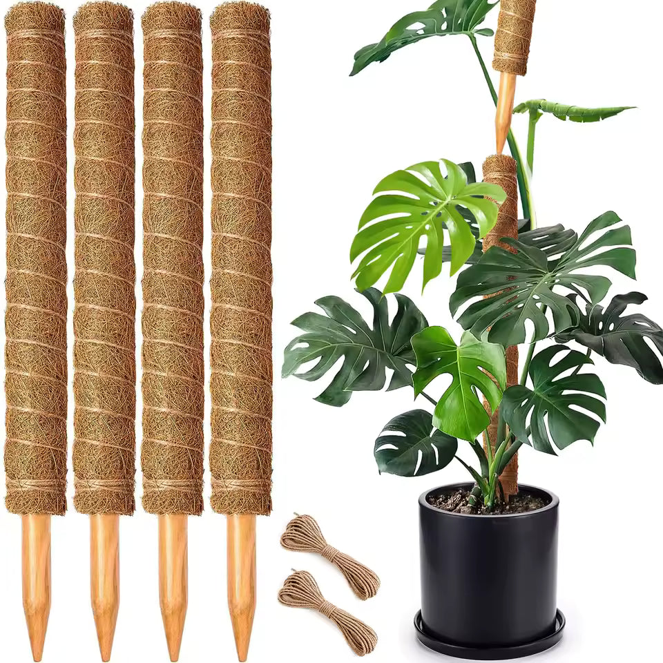 Kokosmoos Stab für Kletterpflanzen – Natürliche Rankhilfe für Zimmerpflanzen und Garten